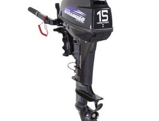  Modelo T15BMS