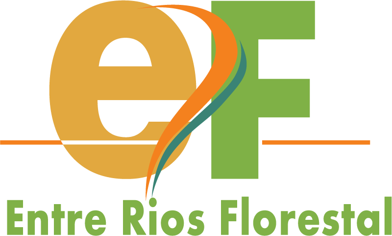 Entre Rios Florestal Madeira de Alta Qualidade em Nova Bandeirantes MT