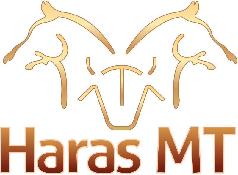 Haras MT Venda de Potros e Coberturas em Apiacás MT