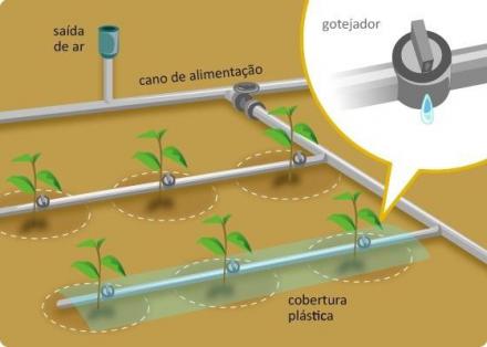 Dica para o Projeto de irrigação 