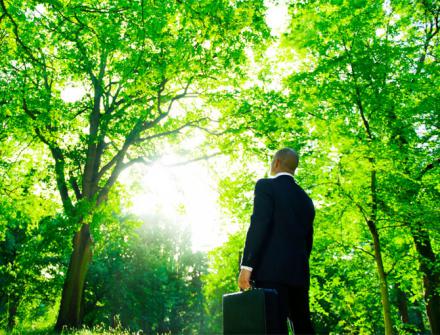Consultoria e Assessoria Ambiental